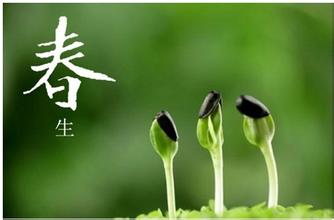 如何結(jié)合御髮膳養(yǎng)生更佳？