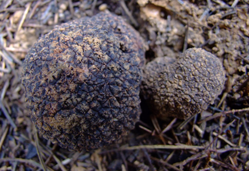 1468486364363537.jpg cehU6WNQKdEkY.jpg